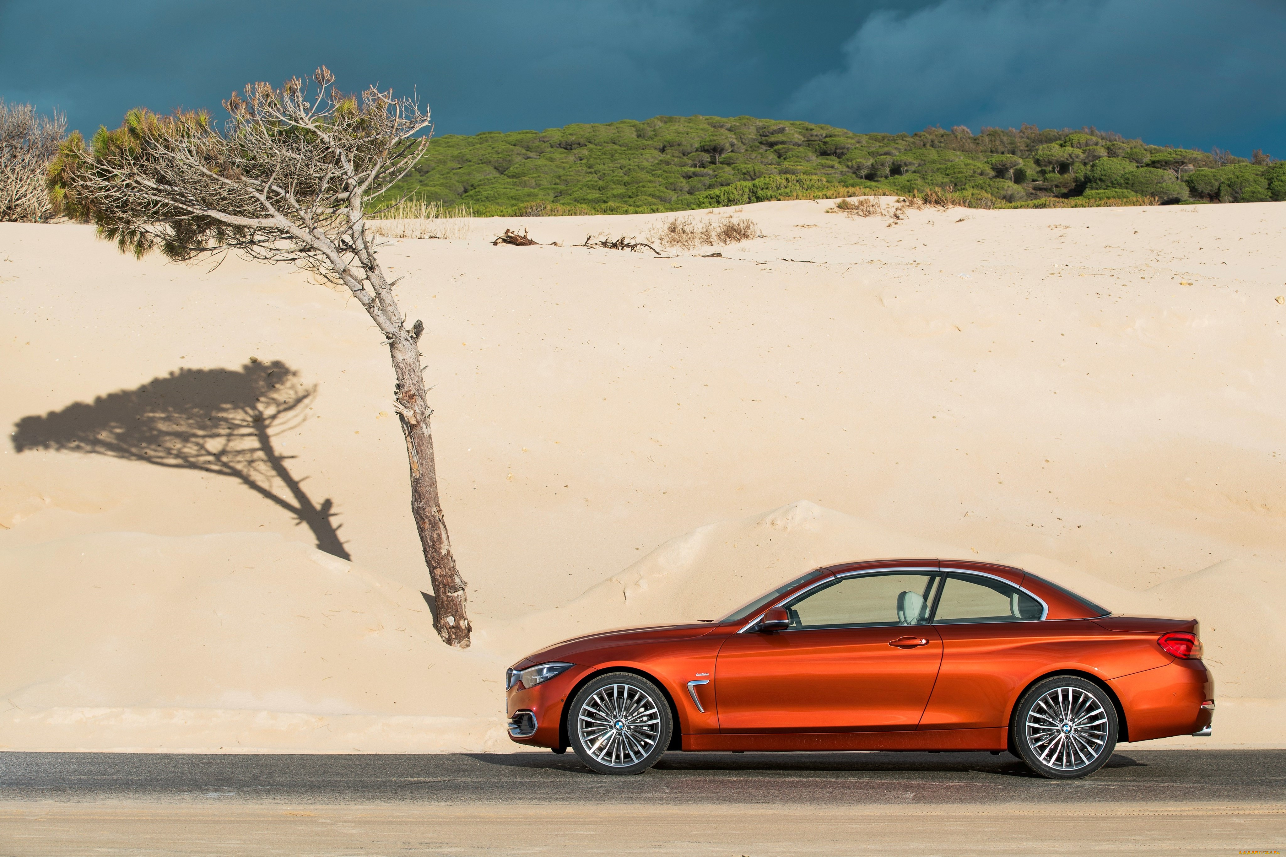 , bmw